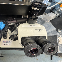 Olympus SZ61 Stereo Microscope image 1